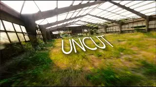 Uncut - Another bando gone