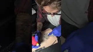 Stipple shading 1003RL (Fav needle) 6.5V critical torque 4.2mm 