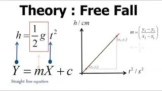 SES Experiment 3 l Free Fall