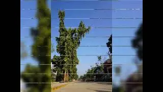 Chandrapur Forest Academy Chandrapur, ( Maharashtra), #chandrapur, #maharashtra 