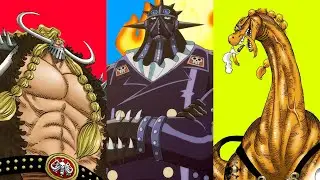 Top 10 Strongest Members of the Beast Pirates