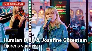 Humlan Djojj & Josefine G&ouml;testam - Djurens vaggvisa/ Musikhj&auml;lpen 2024
