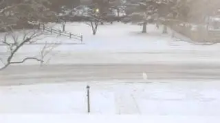 Car falls from sky