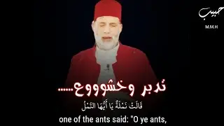سورة النمل كاملة يرتلها الشيخ حسن صالح بخشووع وتدبر❤️❤️حبيب