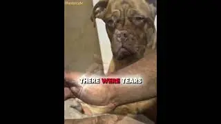 Puppy Died After One Day Of Its Birth 🐶