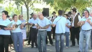 Cavaquinhos 