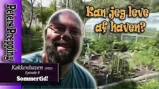K&oslash;kkenhaven: Sommertid! Kombucha, eddike og chilier for slet ikke at n&aelig;vne fr&oslash;avl