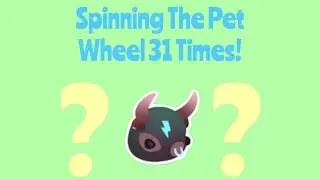Spinning The Pet Wheel 31 Times | Overlook Bay | dabbutter87