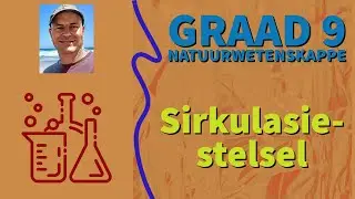 NW Graad 9 Sirkulasiestelsel