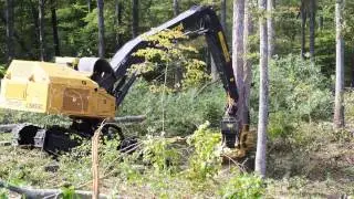 Tigercat LS855C with 5195 directional felling saw