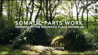 'Somatic Parts Work - Tending to the wounded place within us' - Guided Practice
