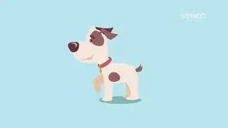 Parvovirose em cães: sintomas, tratamento e prevenção!