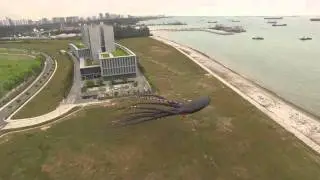 Giant Flying Squid in Singapore