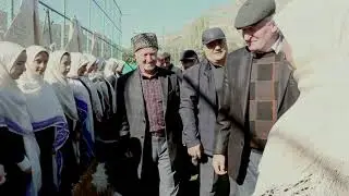 Рахалазул буртина