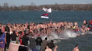 Bogojavljensko plivanje u Zemunu