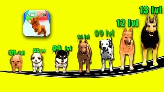 Dog Evolution Run 🐕😂Grow and Run! All Levels Funny Gameplay with Dog Emojis @manozenspot