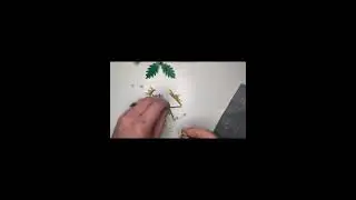 Lego Botanical 30701 field flowers pollybag