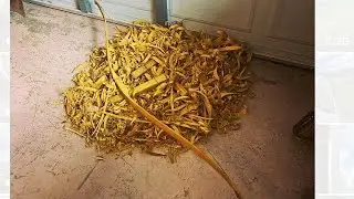 Osage orange hybrid selfbow build.(deflex reflex) extreme heat bending.