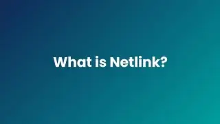 Netlink Ecosystem Overview | Community Infrastructure on Web3