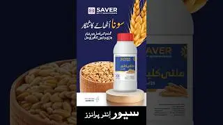 گندم کی فصل میں تمام جڑی بوٹیوں کا فوری حل!