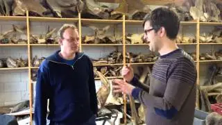 Visiting Mammoths at North Sea Fossils, Holland