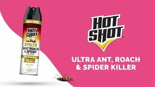 How To Spray For Bugs Around Your Home | Hot Shot&reg;