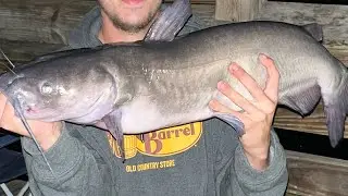 This Is How You Catch A Channel Catfish (Tutorial) #fishing#tryingtogrow#grindneverwillstop#jesus