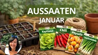 Meine Aussaaten im Januar 2026 - kalte und warme Anzucht