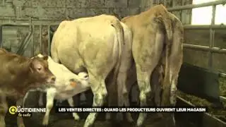 Les ventes directes : Quand les producteurs ouvrent leur propre magasin
