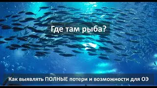 Как выявлять ПОЛНЫЕ потери и возможности для мероприятий Операционной Эффективности