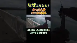 なぜかベールが戻る！キャスト時の何が悪いか教えて下さい🙇