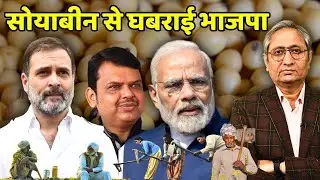 महाराष्ट्र में सोयाबीन क्यों है मुद्दा?