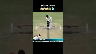 Mitchell stark the goat of all time swing #cricket  #stark  #viralshorts