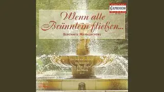 Leise, leise lasst uns singen, D. 635