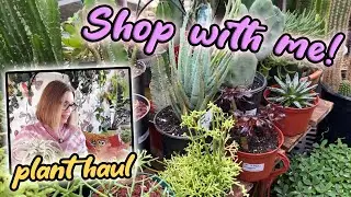 Plant Shopping At My Local Shop | Houseplant Haul | Succulents, Cactus, Air Plants, Hoya and more!