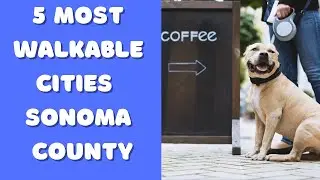 Realtor Tips |  Realtor Cities Walkability | Moving to Sonoma County