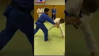 Ko uchi gari judo ippon 🥋🔥 #judo #ippon #viral #top #sport #kouchi