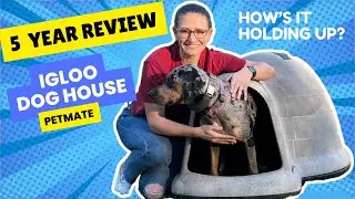 5 Year Review of Igloo Dog House by Petmate - built to last!