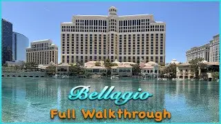Bellagio Las Vegas - Full Walkthrough with pool and 2 Queen Fountain View Room Tour