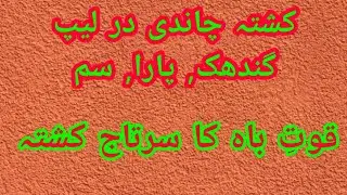 KUSHTA CHANDI DAR LEEP SULPHAR, PARA, & SIM. QUWAT BAH KA SARTAJ KUSHTA