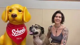 Tulsa Dog Training | Client Testimonial | Pitbull | 