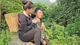 Harvesting Figs for Sale, Daily life on the farm - Linh's Life