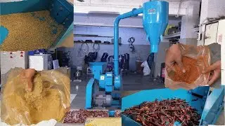 Samruddhi 10HP Separate Chamber Masala Pulverizer| Heavy Duty Machine Demo | #reel #viral #machines 