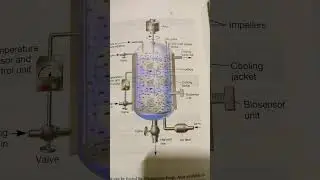Industrial stirred Fermenter