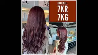 ✨GOLDWELL with this transformation from level 4 mahogany to level 6 copper red goldwell.  #7kg