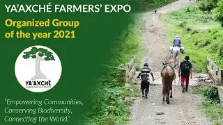 Ya&rsquo;axch&eacute; Farmers&rsquo; Expo: Organized Group of the year 2021