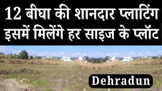 12 Bigha Plotting For Sale in Dudhli Rd - Dehradun - Low Budget Plot - Property Sale In Dehradun