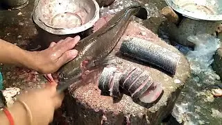 Expert🐬Traditional Sola Fish Cutting Skills Live in Fish Market Fastest Sola Fish Slicing