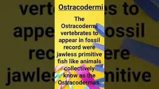 #Ostracodermi #Shorts #Dipika_Zoology_Classess