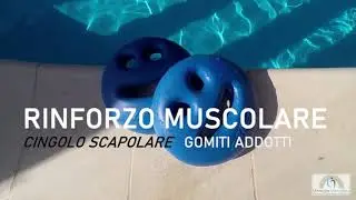 Rinforzo cingolo scapolare gomiti Addotti